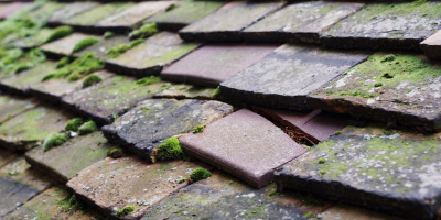 Sutton Bonington roof repair costs